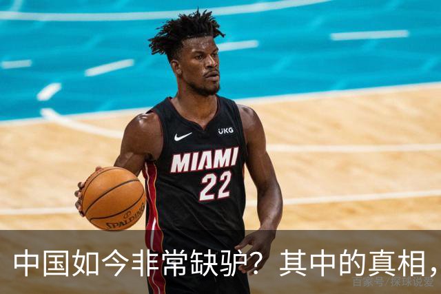 中国如今非常缺驴？其中的真相，比你想象的还要荒诞得多