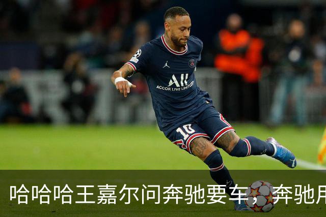 哈哈哈王嘉尔问奔驰要车，奔驰用他的梗怼他