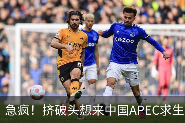 急疯！挤破头想来中国APEC求生，因国内清算打响，高市或锒铛入狱