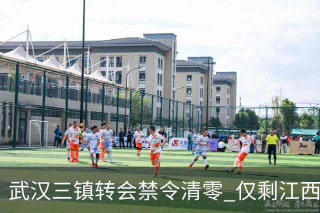 武汉三镇转会禁令清零 仅剩江西庐山还存在转会注册禁令