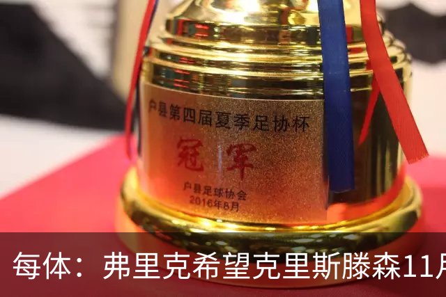 每体：弗里克希望克里斯滕森11月8日客战马竞时复出