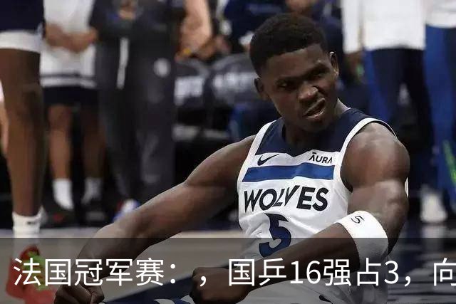 法国冠军赛：，国乒16强占3，向鹏温瑞博出炉，林诗栋梁靖崑零封！
