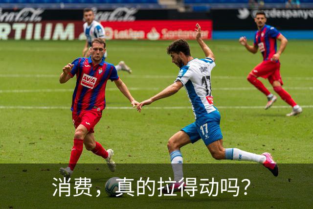 消费，真的拉得动吗？