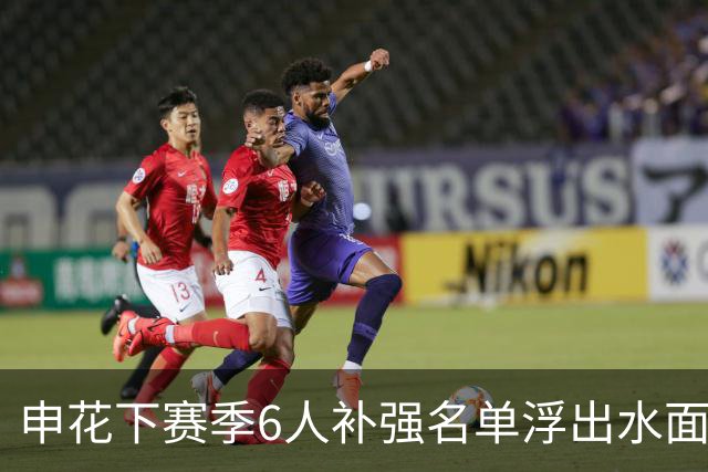 申花下赛季6人补强名单浮出水面，未来他们将挑大梁，值得期待
