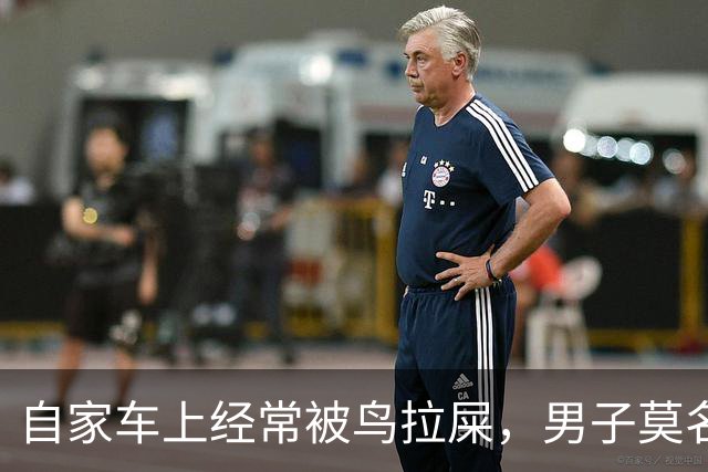 自家车上经常被鸟拉屎，男子莫名确诊肺炎，医生：不是个例，已有数例此类患者