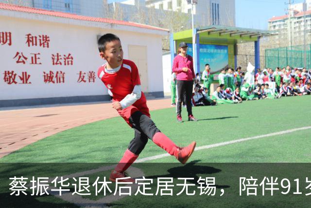 蔡振华退休后定居无锡，陪伴91岁老母亲，日常买菜炖汤，偶尔去少年宫免费教小朋友打球；国际乒联百年功勋奖授予他，他没有亲自赴伦敦领奖