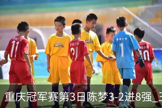 重庆冠军赛第3日陈梦3-2进8强 王艺迪樊振东赢内战