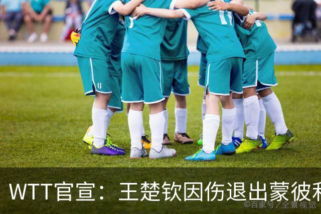 WTT官宣：王楚钦因伤退出蒙彼利埃冠军赛 连续退赛何时复出未知